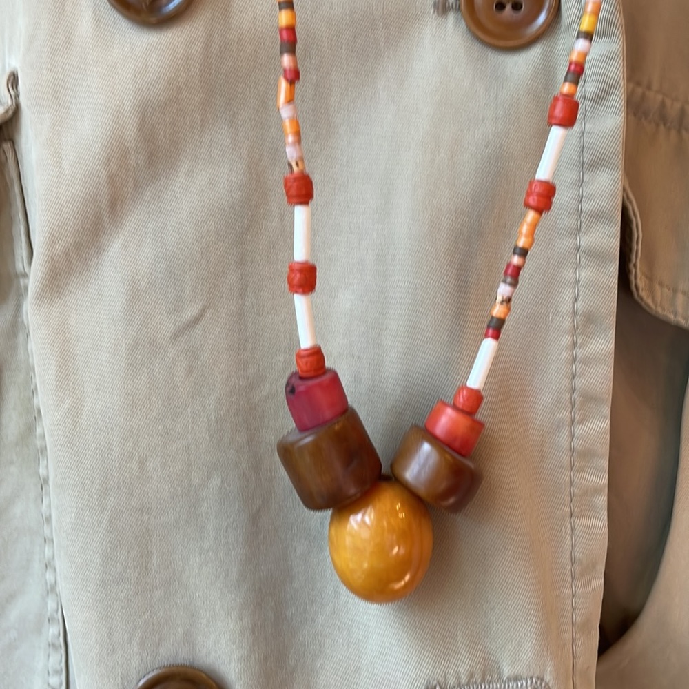 Tagua nut from rainforest
